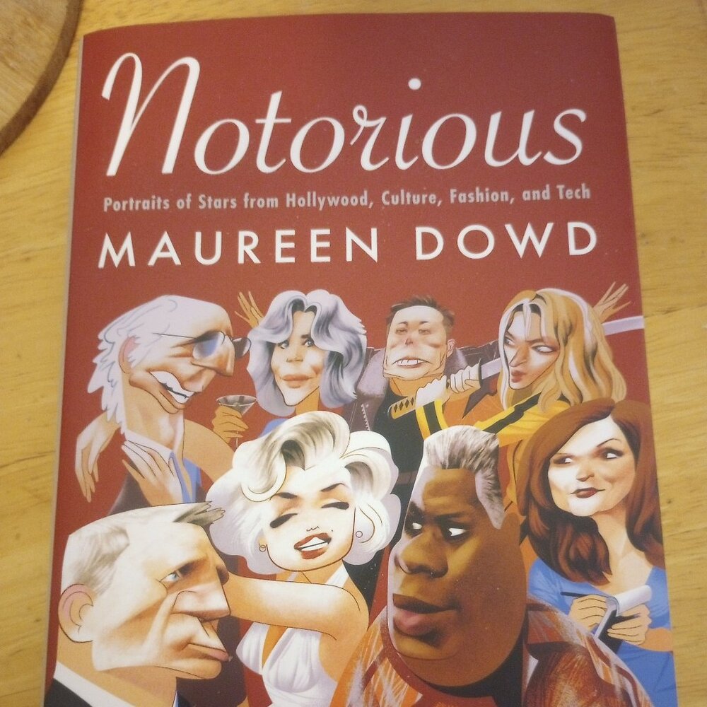 Notorious Book by Maureen Dowd
